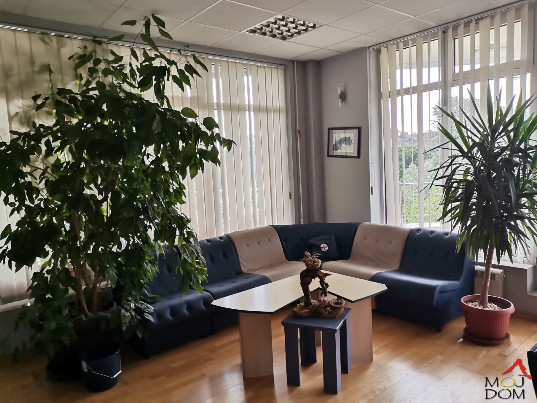 lokal NOVI SAD